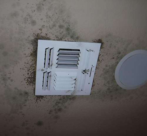 Mold Inspections